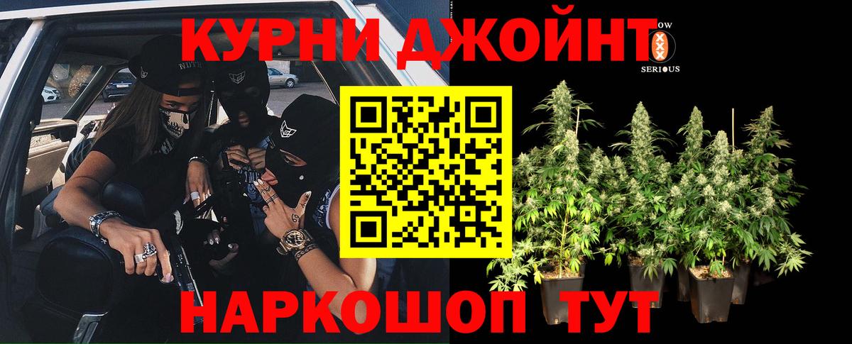 Бошки Шишки MAZAR Дербент